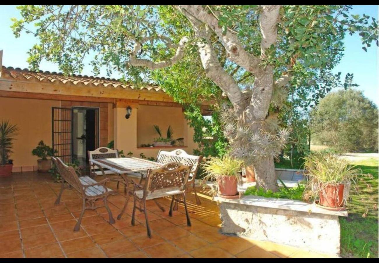 Son Cladera Petit * Son Macia (Mallorca)
